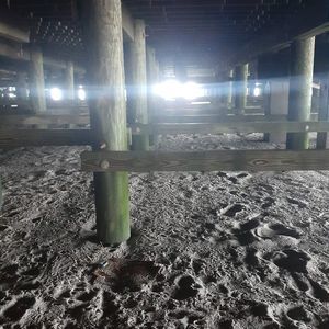 Meet your Posher, Larry